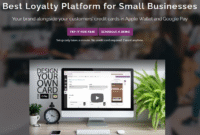 Creating a Loyalty Program for Gadget Shoppers