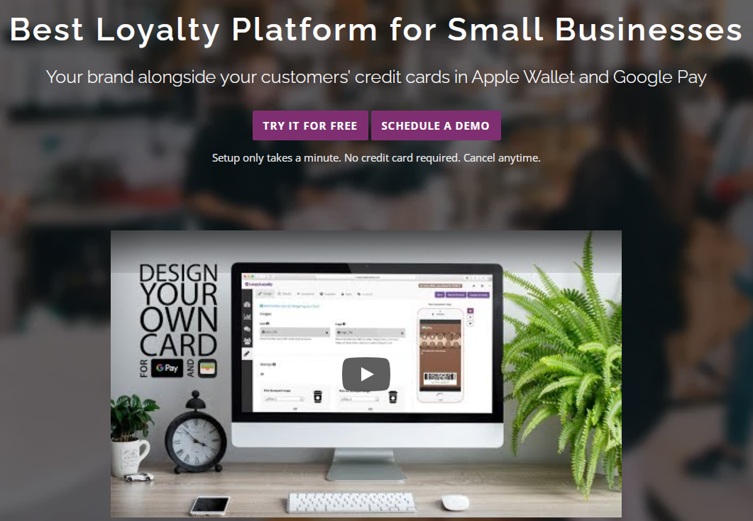 Creating a Loyalty Program for Gadget Shoppers