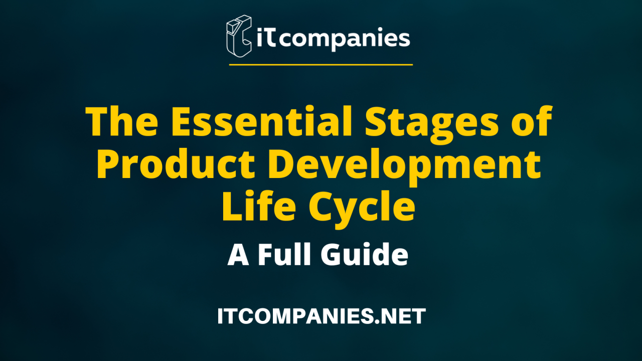 The Lifecycle of a Software Product from Development to Purchase