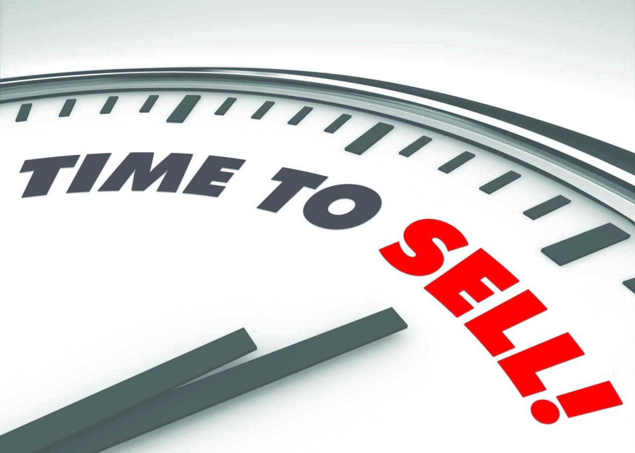 Salesperson trying to persuade customer in buying product. Personal ... Selling Used Luxury Cars to Niche Markets